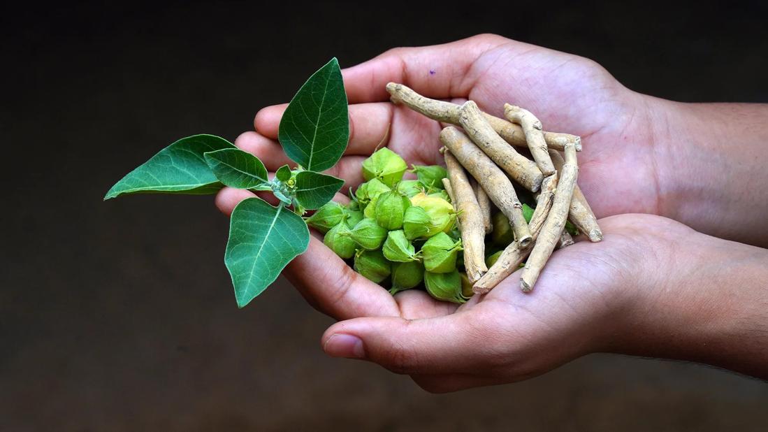 Ashwagandha: Uses and Side Effects