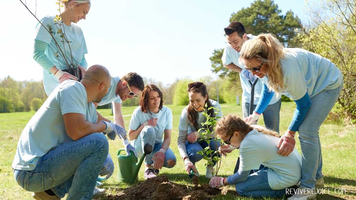 Community Garden Wellness