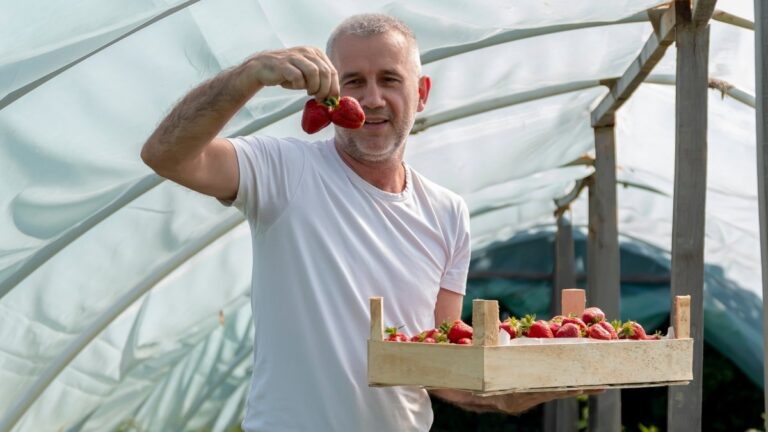 Don’t Wait for a Diagnosis: The 15 Essential Foods You Need to Eat in Your 40s and 50s to Fight Cancer