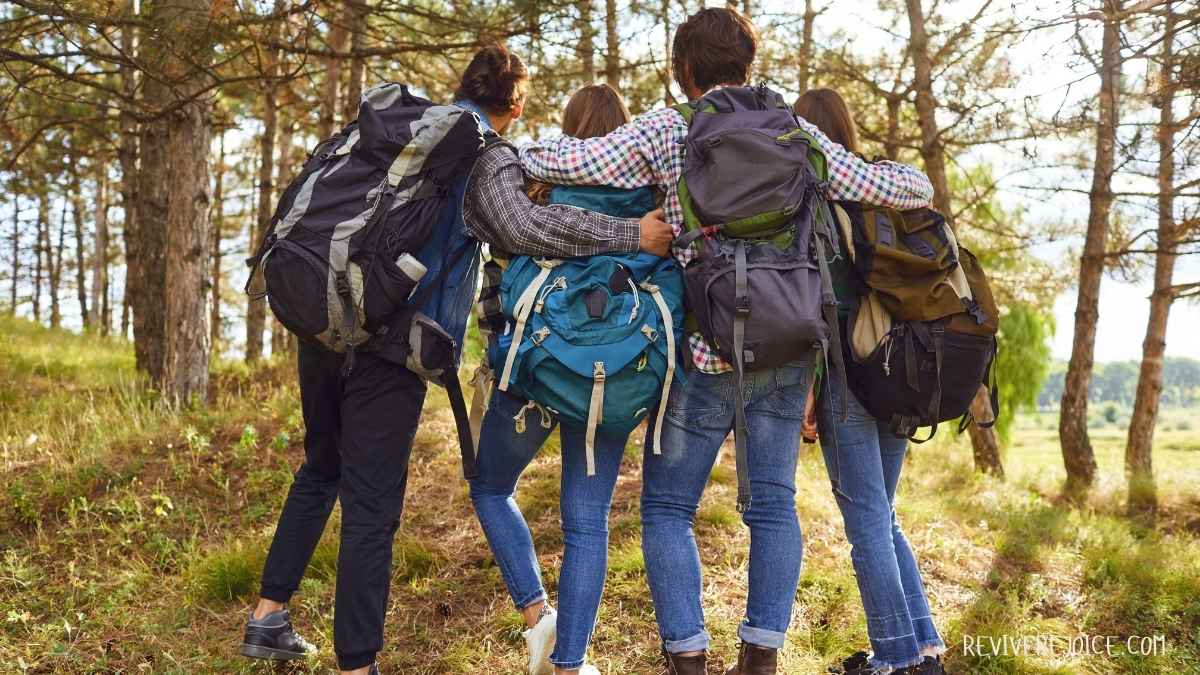 Forest Bathing Groups 