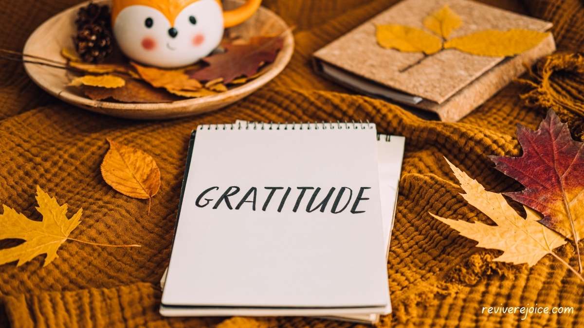 Organize a Gratitude Journal for the Season of Thanks