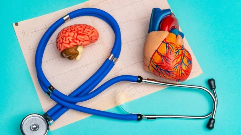 The “Good Fat” Guide: Choosing Fats to Support Brain and Heart Health After 60 (According to the Cardiologist)