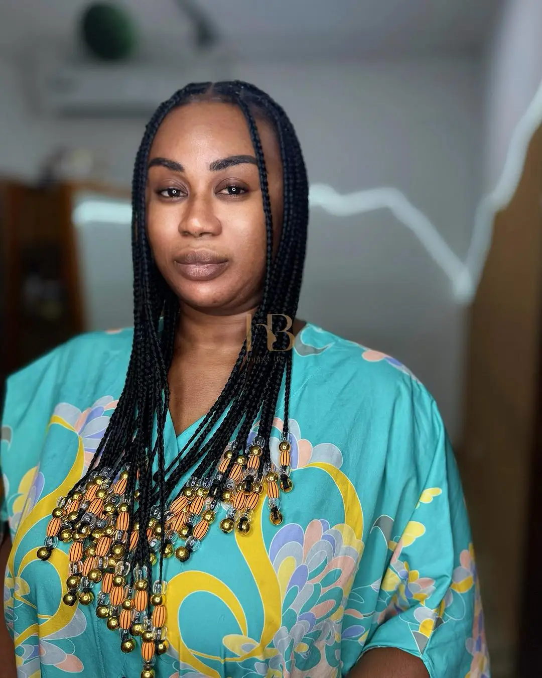 Long Box Braids with Beaded Ends and Center Part